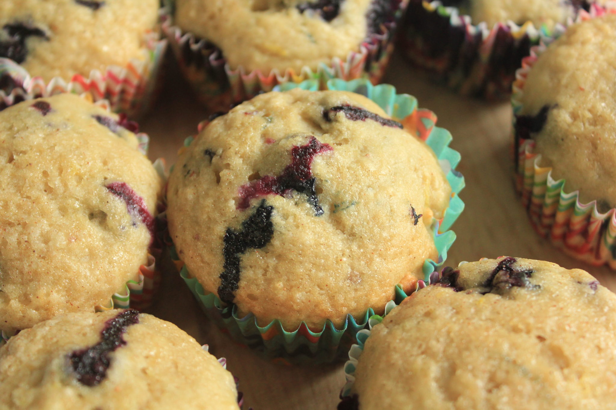 easy-lemon-blueberry-muffins-with-applesauce-a-sprinkle-of-joy